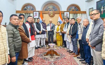 Bid to save face, says tribal body; BJP defends ex-CM