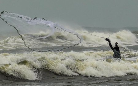 Sri Lanka navy apprehends 14 fishermen from Tamil Nadu, total rises to 88 this year