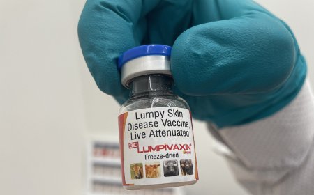 Bharat Biotech arm Biovet gets CDSCO nod for lumpy skin disease vax for cattle