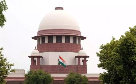 SC refuses to test validity of state laws against cow trafficking and slaughter