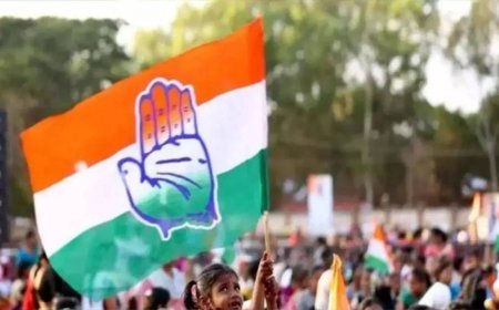 After 300 deaths, our call has been accepted: Congress