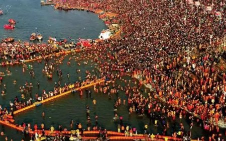 13 babies born at mela hospital since Kumbh began on January 13