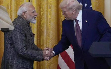 'Should attack entire system of human trafficking': PM Modi on issue of illegal immigration