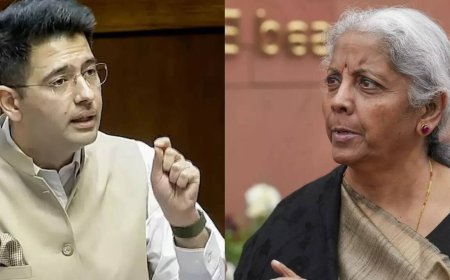 'Tried to complicate': Raghav Chadha on Sitharaman's tax relief counter in Parliament