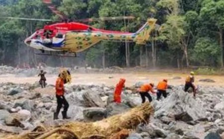 Centre OKs Rs 529cr for Wayanad but says it must be utilised by March 31