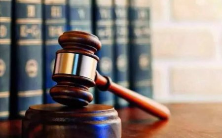 Gujarat HC junks 'no valid licence' plea, asks insurer to pay accident victim