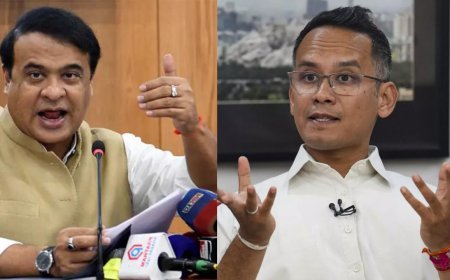 'Deeply rooted': Himanta steps up 'Pakistan link' attack on Gogoi's wife