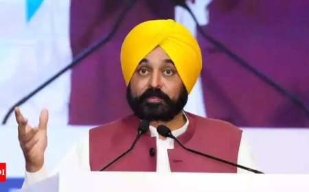 CM Mann protests as 2nd US plane with 1 1 6 deportees lands in Punjab