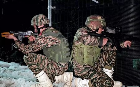 Army retaliates after cross-border firing by Pakistani troops