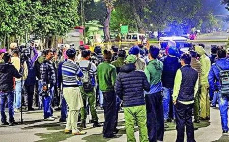 Dollar dreams dashed: Third US aircraft lands with 1  1 2 migrants