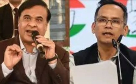 Assam to book Pak man who 'worked with Congress MP's wife'