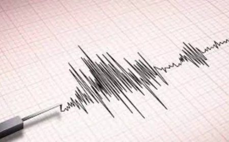 Strong earthquake tremors felt in Delhi NCR, parts of northern India