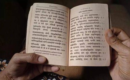 Replace Urdu with Sanskrit, another school in Rajasthan told