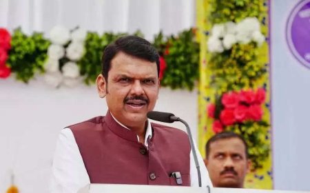 'There's limit to free speech': Fadnavis orders action against Wikipedia content