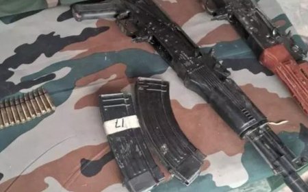 Ammunition, explosive powder seized from J&K forest