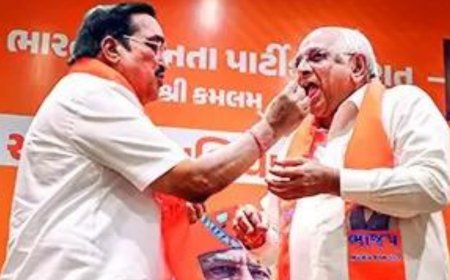 BJP sweeps Gujarat local body polls, Congress tally improves marginally