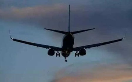 Govt to launch e-licenses for pilots; India to be second country to do so for flight crew