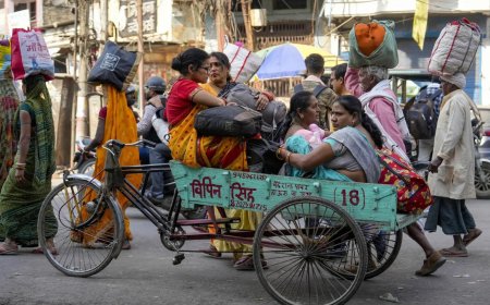 Wholesale hub shut due to Maha Kumbh, medicine crisis in Prayagraj