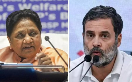 'Congress B team of BJP in Delhi polls': Mayawati renews attack on Rahul Gandhi