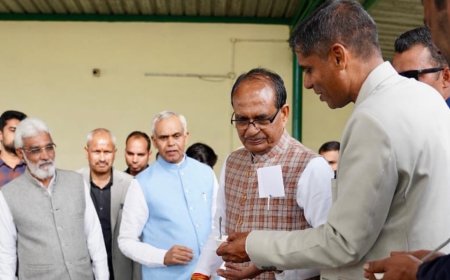 National committee to promote natural farming to be formed soon: Agriculture minister Shivraj Chouhan