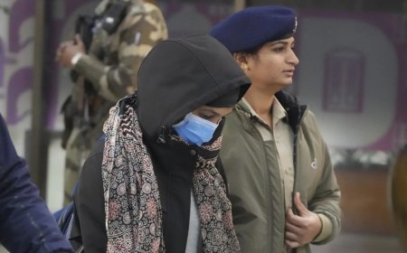 Deported by US to Panama, 12 illegal migrants reach India