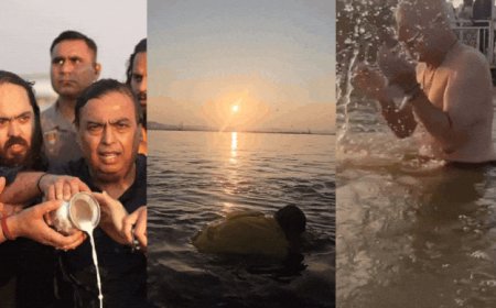 Watch: From Ambanis to Coldplay's Chris Martin, celebrities who took holy dip at Maha Kumbh