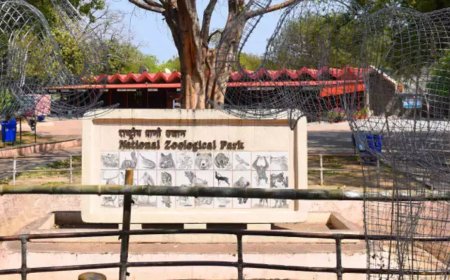 Government plans modernization of the Delhi zoo entrance plaza