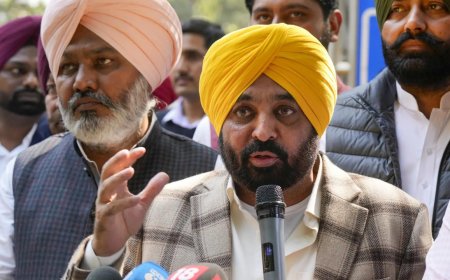 'Preparations done on war footing': Punjab government announces big crackdown on drugs