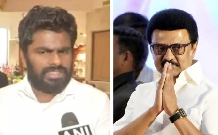 'What a shame': Stalin's 'language war' threat gets pushback from BJP's Annamalai