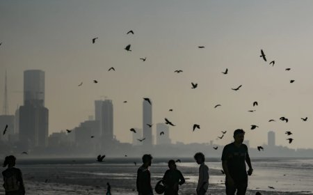 'Arbitrary': Bombay HC junks MMRDA's order to end French company contract