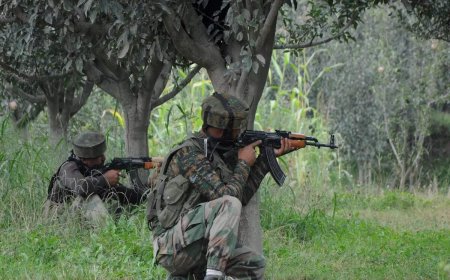 Army shoots down Pakistani intruder at Indo-Pak border