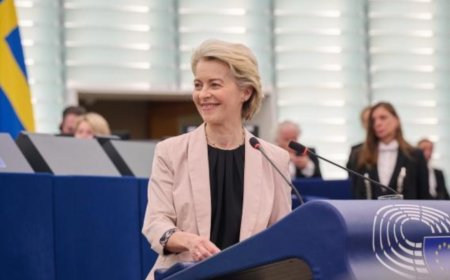 Let’s finish what we started for our own benefit: EU chief on FTA