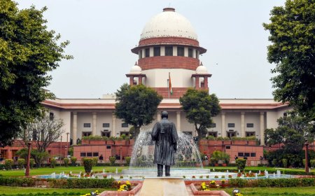 In Supreme Court, government opposes life ban on convicted netas