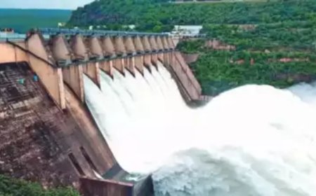 Mahadayi tribunal gets 6-month extension to resolve Maha, Goa, K’taka water sharing dispute