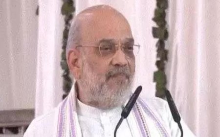 Our schemes inspired by antyodaya, 'integral humanism': Amit Shah in MP