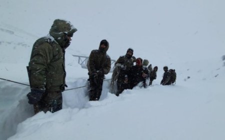 Uttarakhand avalanche: Amit Shah speaks to CM Dhami, assures swift action as rescue efforts intensify