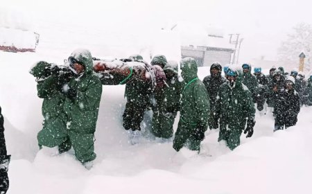 BRO camp buried in Uttarakhand avalanche, warning was issued on Thursday evening - Top updates