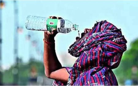 February this year was warmest since record keeping commenced in 1901: IMD