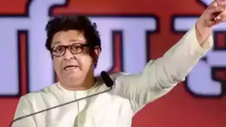 Infrastructure projects shouldn’t displace ‘sons of the soil’: Raj Thackeray