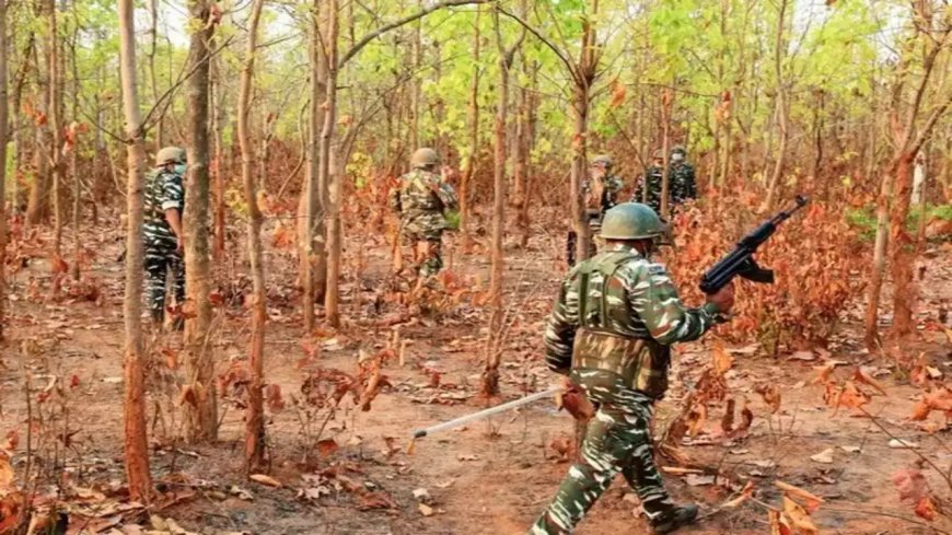 Three jawans injured in IED blast in Chhattisgarh's Dantewada