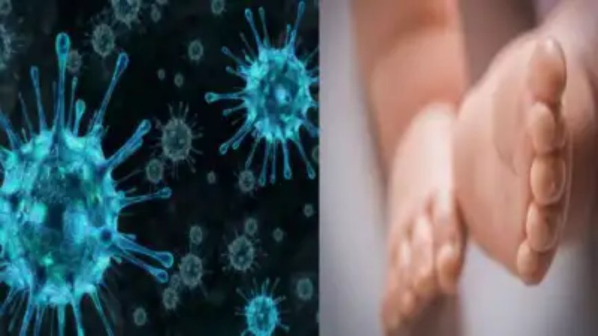 India reports 59 HMPV cases: Health ministry