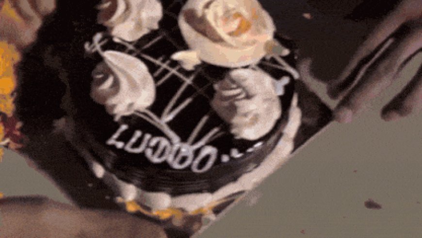 Stray dog 'Ludo Bhai' gets a birthday bash like no other in MP's Dewas; watch