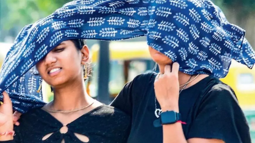 Delhi records warmest day of the season at 29.7 degree celsius