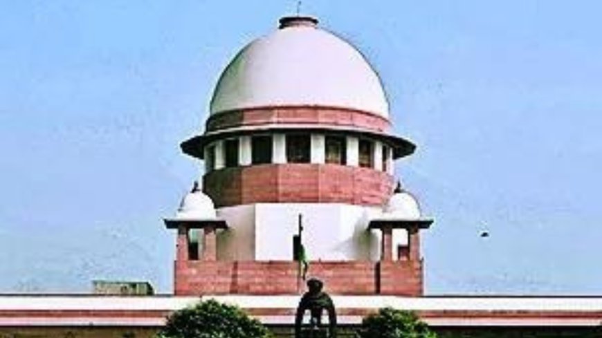 Homeopathy panel chief's appointment junked by Supreme Court