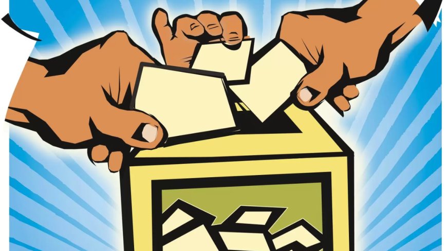 ONOE bill doesn’t violate tenets of federalism, experts tell JPC