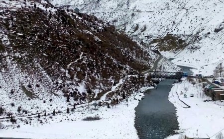 Heavy snowfall, rain wreak havoc in Himachal; 500 roads blocked