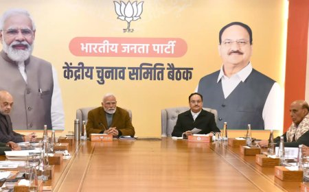 BJP to elect party's new national president in March