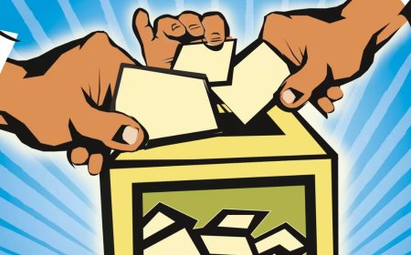 'Out of your scope': Government to ONOE JPC on reverting to ballot paper