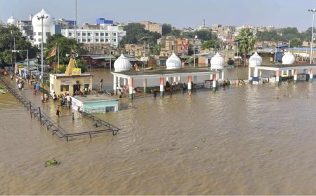 After Kumbh, Ganga water at several places in Bihar unfit for bathing, says survey