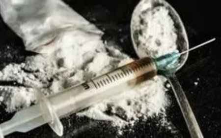 2 months, 29 convictions: NCB starts 2025 with blows to cartels